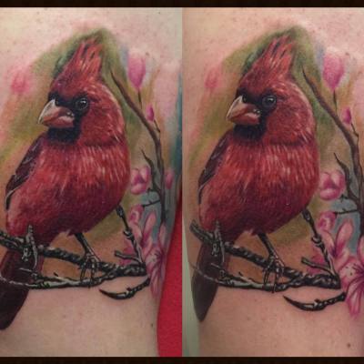 Color realism  cardinal tattoo by Loretta Thomason